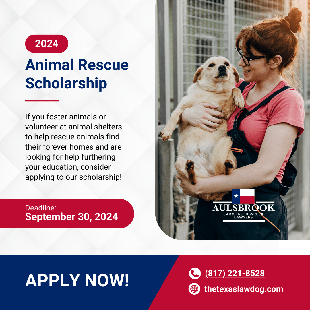 Animal Rescue Scholarship 2024 Aulsbrook Car & Truck Wreck Injury Lawyers