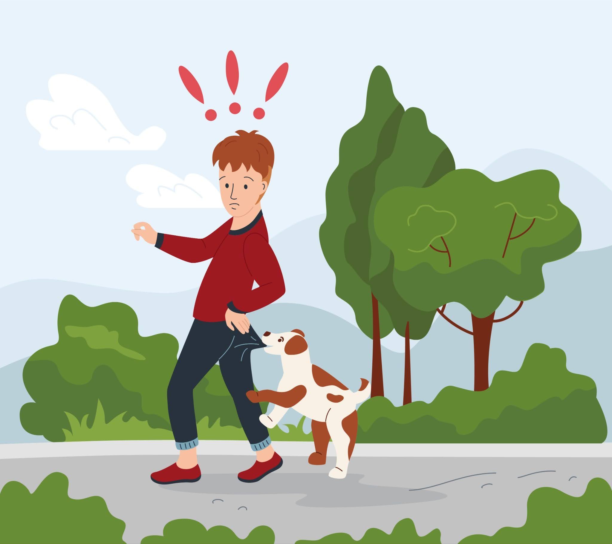 How Much Can I Sue for a Dog Bite? Compensation, Liability, & Real-World Examples